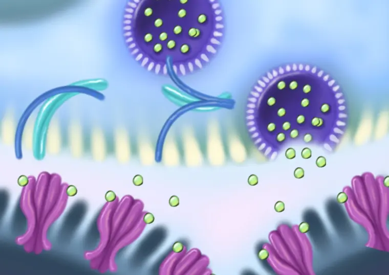 Botox under the microscope illustration