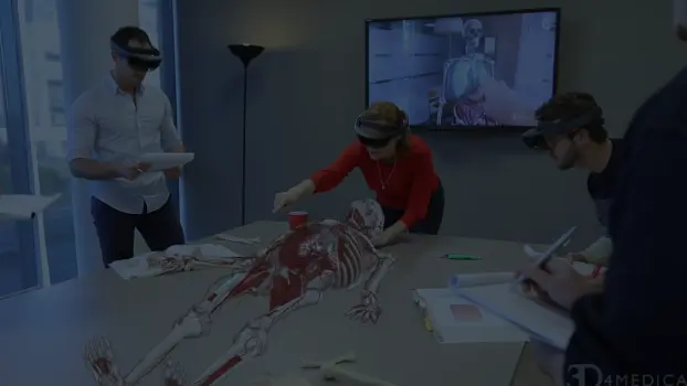 Introducing HoloHuman