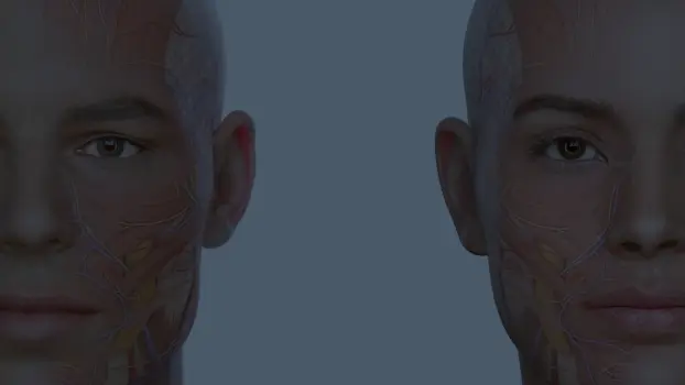 Discover Complete Anatomy 2023