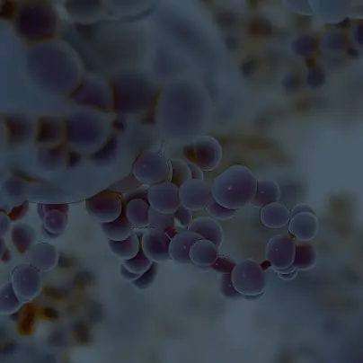 what is dysport illustration