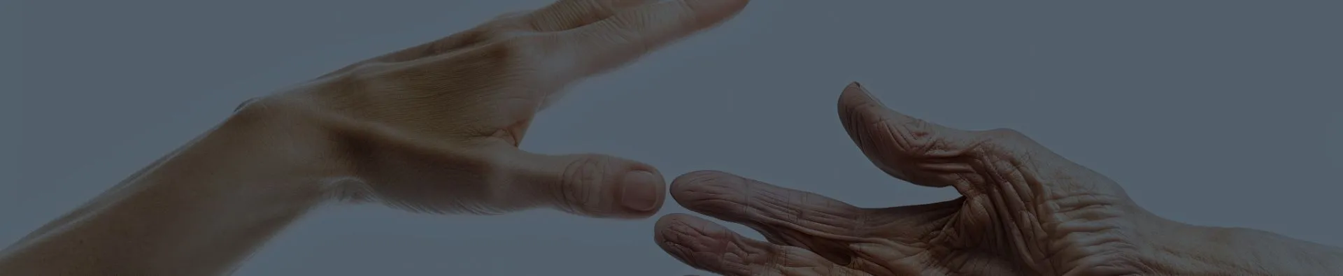 Courses and workshops