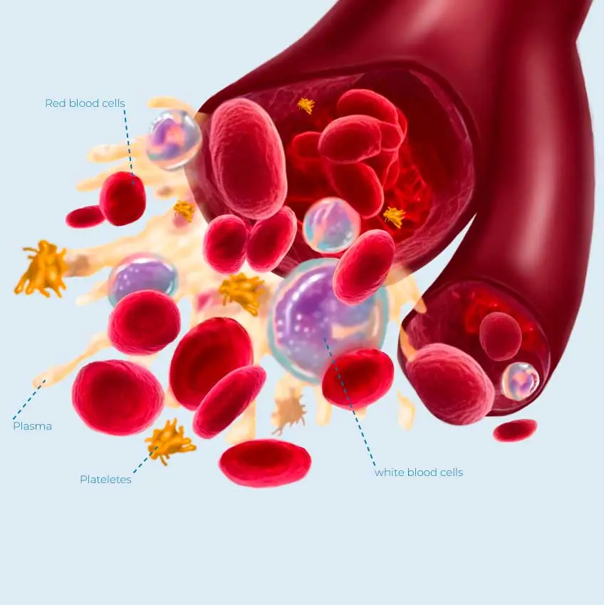 open vein illustration